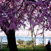Meteoroloji'den son uyarı! Meteoroloji'den son uyarı!