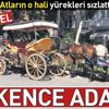 İşkence adası