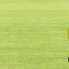 Fenerbahçe'nin yeni teknik direktörü Phillip Cocu’dan transfere veto!