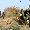 PKK elebaşları kıstırıldı! Büyük operasyon başlıyor PKK elebaşları kıstırıldı! Büyük operasyon başlıyor