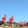 Avusturya'da Aslan şenliği Avusturya'da Aslan şenliği