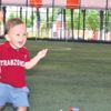 Bordo maviş Bordo maviş