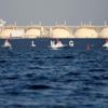 AB, 2019'da LNG ithalat rekoru kırdı AB, 2019'da LNG ithalat rekoru kırdı