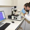 Kanserli hücreler 3 boyutlu görüntülenebilecek Kanserli hücreler 3 boyutlu görüntülenebilecek