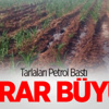 Tarlaları Petrol Bastı! Zarar Büyük Tarlaları Petrol Bastı! Zarar Büyük