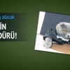Catbox şirketinin yeni iletişim müdürü!