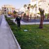 Didim de Park Bahçeler Müdürlüğü çalışmalarını sürdürüyor Didim de Park Bahçeler Müdürlüğü çalışmalarını sürdürüyor