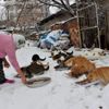 58 kediye bakan Nuriye Teyze: Hayvanlarımdan kopamıyorum 58 kediye bakan Nuriye Teyze: Hayvanlarımdan kopamıyorum