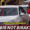 Sahilde balıkçıları sevindiren istila! Sahilde balıkçıları sevindiren istila!