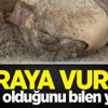 Karaya vurdu! Ne olduğunu bilen yok Karaya vurdu! Ne olduğunu bilen yok