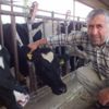 Kritik uyarı! Kurban alırken dolandırılmayın