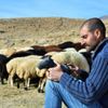 Heykeltıraş çoban'ın hayali... Heykeltıraş çoban'ın hayali...