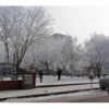 Ardahan Dondu; Eksi 15 Ardahan Dondu; Eksi 15