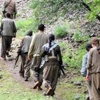 Hakkari'de 1 PKK'lı teslim oldu