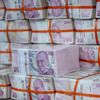 2021 yılı bütçesine pay gelirlerinden 32 milyar lira katkı sağlanacak