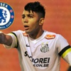 Pereira'nın gözdesini Hiddink istiyor Pereira'nın gözdesini Hiddink istiyor