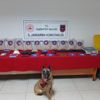 Çöp kovasını açan polis şaşkına döndü Çöp kovasını açan polis şaşkına döndü