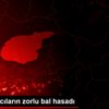 Göçer arıcıların zorlu bal hasadı