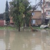 Hatay'da sağanak, hayatı olumsuz etkiledi