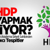 HDP Ne Yapmak İstiyor? HDP Ne Yapmak İstiyor?