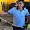 Araca giren yılan görenleri korkuttu