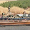 Bağ evinden PKK cephaneliği çıktı Bağ evinden PKK cephaneliği çıktı