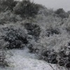 Meteorolojiden fırtına ve don uyarısı Meteorolojiden fırtına ve don uyarısı