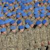 Jandarma Uzman Erbaş alımı ve 4. grup için son dakika gelişmesi! MSB Uzman Erbaş alımı başvuru şartları nelerdir?