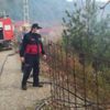 Türkeli'de anız yangını: 1 yaralı Türkeli'de anız yangını: 1 yaralı