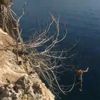Antalya'da 20 metre yükseklikten "Kafayı yemişsiniz" dedirten atlayış Antalya'da 20 metre yükseklikten "Kafayı yemişsiniz" dedirten atlayış