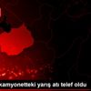 Devrilen kamyonetteki yarış atı telef oldu