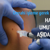 Türkiye'den tümör aşısına ilk adım Türkiye'den tümör aşısına ilk adım
