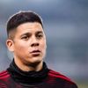 Favori Rojo plase Welinton Favori Rojo plase Welinton