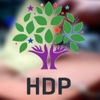 HDP'nin yeni MYK üyeleri belirlendi HDP'nin yeni MYK üyeleri belirlendi