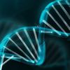 Ders programını DNA belirleyecek! Ders programını DNA belirleyecek!