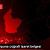 Kadirli turpuna coğrafi işaret belgesi