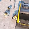 ABD'de teslim elemanı robot köpekler tanıtıldı