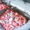 İstanbul'da kaçak et operasyonu