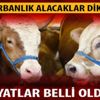 2019 Kurbanlık dana, küçükbaş fiyatları ne kadar? 2019 Kurbanlık büyükbaş ve küçükbaş fiyatları ne kadar oldu?