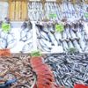Balık fiyatlarında düşüş yaşanmıyor