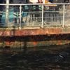 Kadıköy'de denizde ceset bulundu