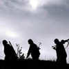 Şırnak Valiliği: 10 PKK'lı teslim oldu