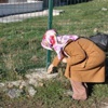 Gençler Sokak Hayvanları İçin Doğaya Yem Bıraktı Gençler Sokak Hayvanları İçin Doğaya Yem Bıraktı