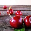 Çin'den gelen heyet "olumlu" baktı Çin'den gelen heyet "olumlu" baktı