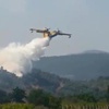Milas'ta Orman Yangını Milas'ta Orman Yangını