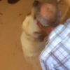 Antalya'da iğrenç olay Allah belanı versin Antalya'da 71 yaşında ayaklarını hortumla bağladığı köpeğe tecavüz ederken yakalandı... Utan be adam Antalya'da iğrenç olay Allah belanı versin Antalya'da 71 yaşında ayaklarını hortumla bağladığı köpeğe tecavüz ederken yakalandı... Utan be adam
