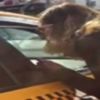 İstanbul'da isyan ettiren olay! Saniye saniye kaydetti İstanbul'da isyan ettiren olay! Saniye saniye kaydetti