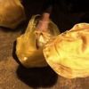 Koronavirüs hastası lavaş dağıtırken yakalandı Koronavirüs hastası lavaş dağıtırken yakalandı