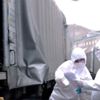 Bakan Pekcan "Temassız Dış Ticaret" uygulamasının ...