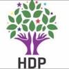 HDP Parti Meclisi'nden çözüm süreci vurgusu
